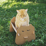 *Cradle Wadle Cat*