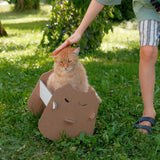 *Cradle Wadle Cat*